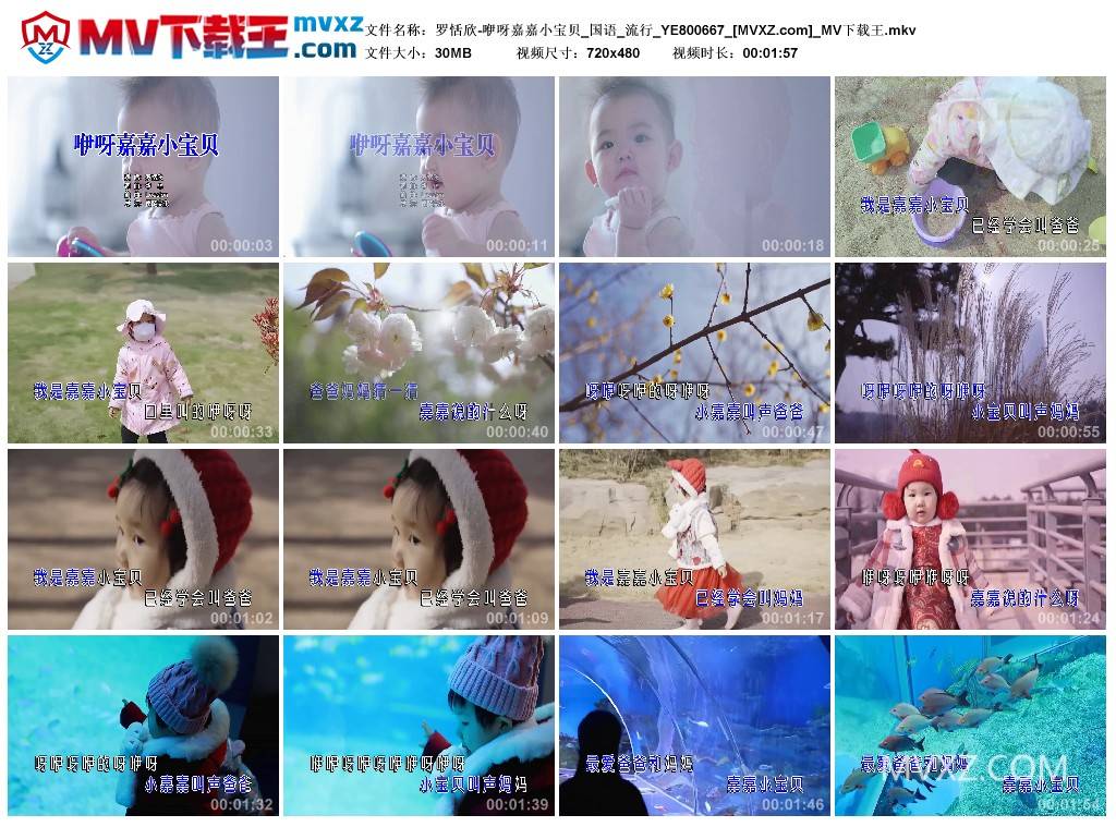 罗恬欣-咿呀嘉嘉小宝贝_国语_流行_YE800667